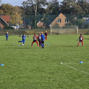 IMG-20241013-WA0005_original