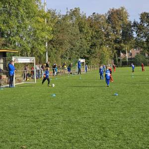 IMG-20241013-WA0008_original