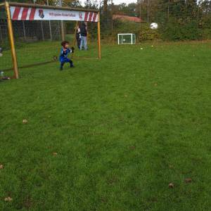 IMG-20241013-WA0014_original