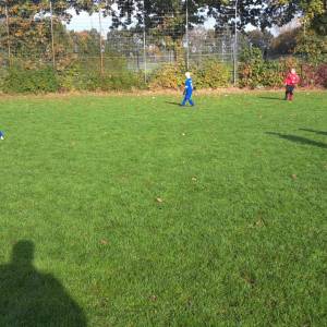 IMG-20241013-WA0029_original