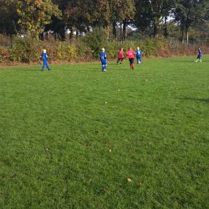 IMG-20241013-WA0049_original