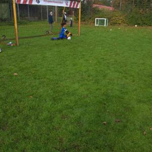 IMG-20241013-WA0050_original