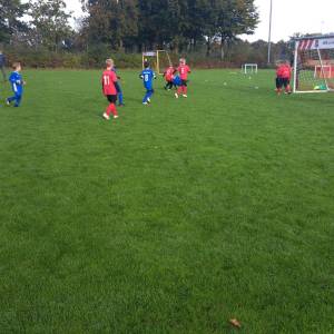 IMG-20241013-WA0053_original
