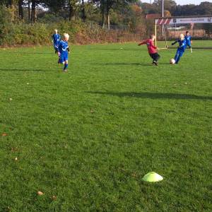IMG-20241013-WA0065_original