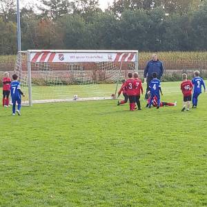 IMG-20241013-WA0117_original