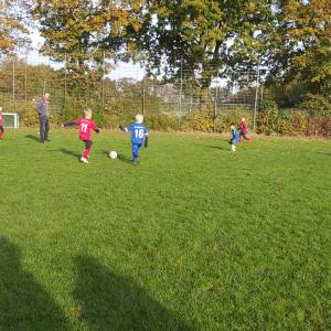 IMG-20241013-WA0118_original