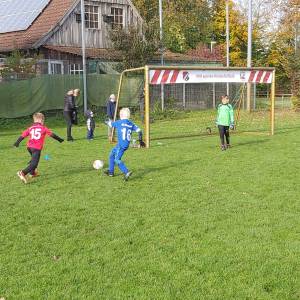IMG-20241013-WA0120_original