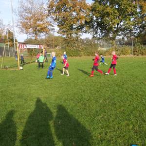 IMG-20241013-WA0124_original