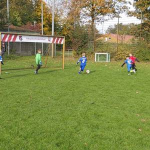 IMG-20241013-WA0129_original