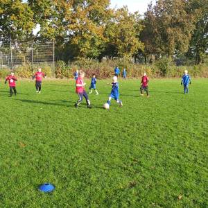 IMG-20241013-WA0132_original