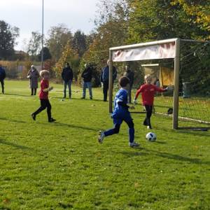 IMG-20241013-WA0137_original