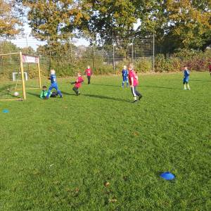 IMG-20241013-WA0140_original