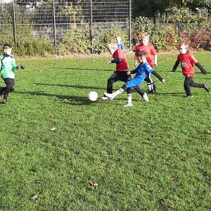 IMG-20241013-WA0162_original