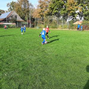 IMG-20241013-WA0166_original