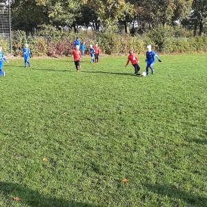 IMG-20241013-WA0175_original