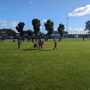 PXL_20240928_090645357.MP_original