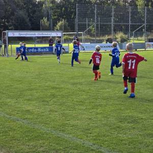 WhatsApp20Bild202024-09-2820um2015.36.12_2ac6a08f_original